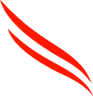 CrowdStrike Falcon logo